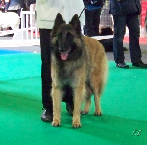 n°98 Gaia of the smart spirit 5445.JPG